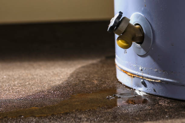 Best Carpet water damage restoration  in St Augustine South, FL