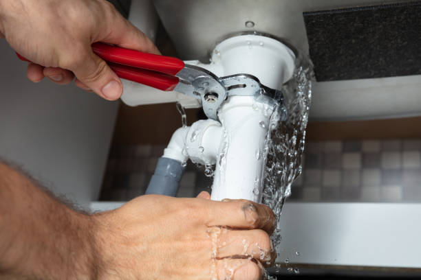 Best Carpet water damage restoration  in St Augustine South, FL