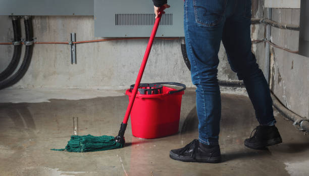 Best Basement water damage restoration  in St Augustine South, FL