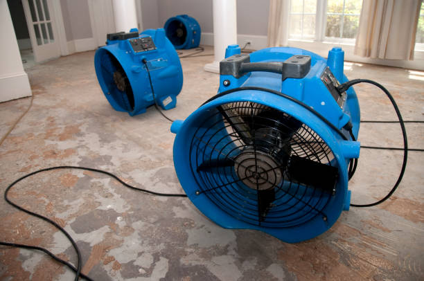 Best Residential water damage restoration  in St Augustine South, FL