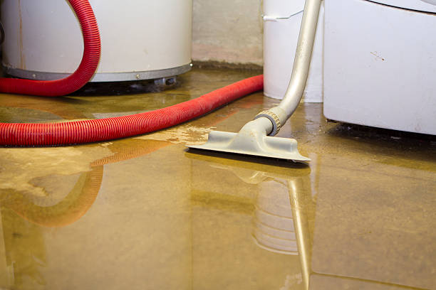 Best Residential water damage restoration  in St Augustine South, FL