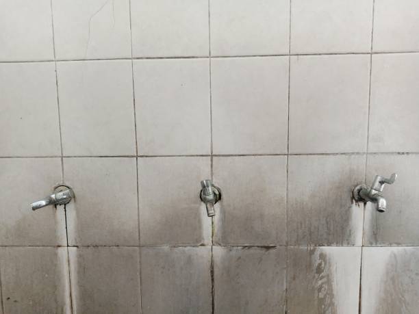 Best Water damage cleanup near me  in St Augustine South, FL