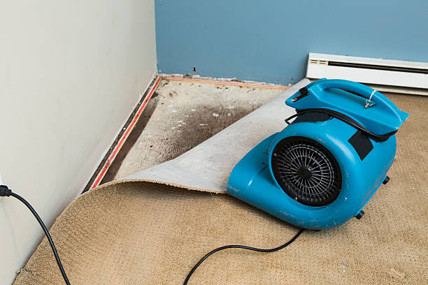 Best Flood damage cleanup  in St Augustine South, FL